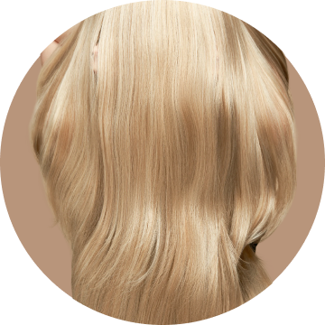 Colour Maintenance