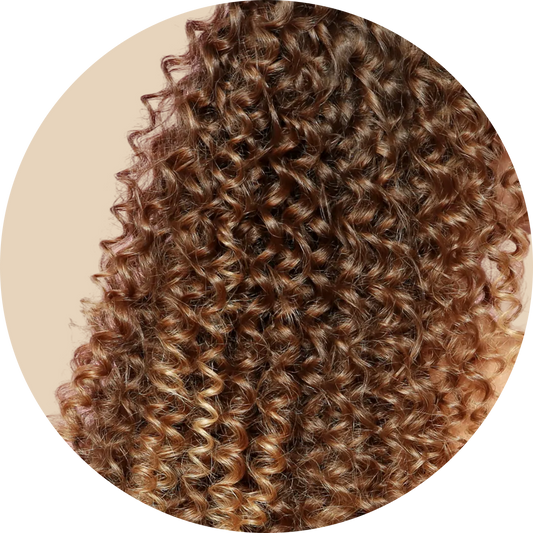 Curly / Coily Hair